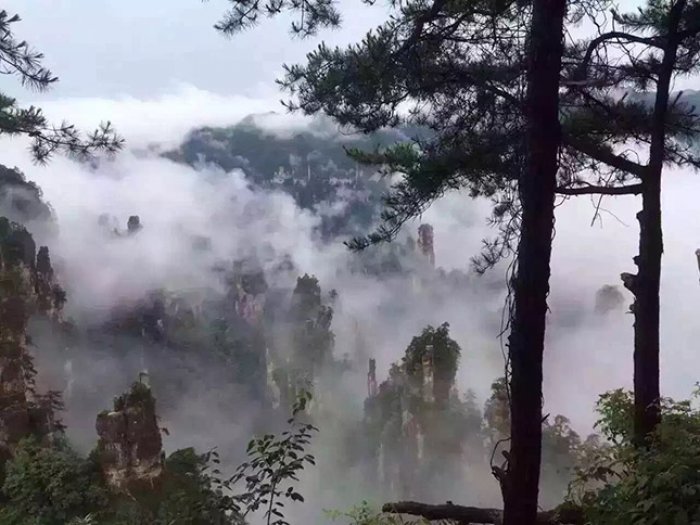 張家界國家森林公園+大峽谷3天2晚“驚險(xiǎn)套餐”