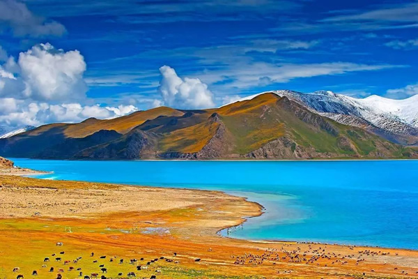 拉薩-林芝-巴松錯(cuò)-魯朗-大峽谷-羊湖-圣象天門8晚9日